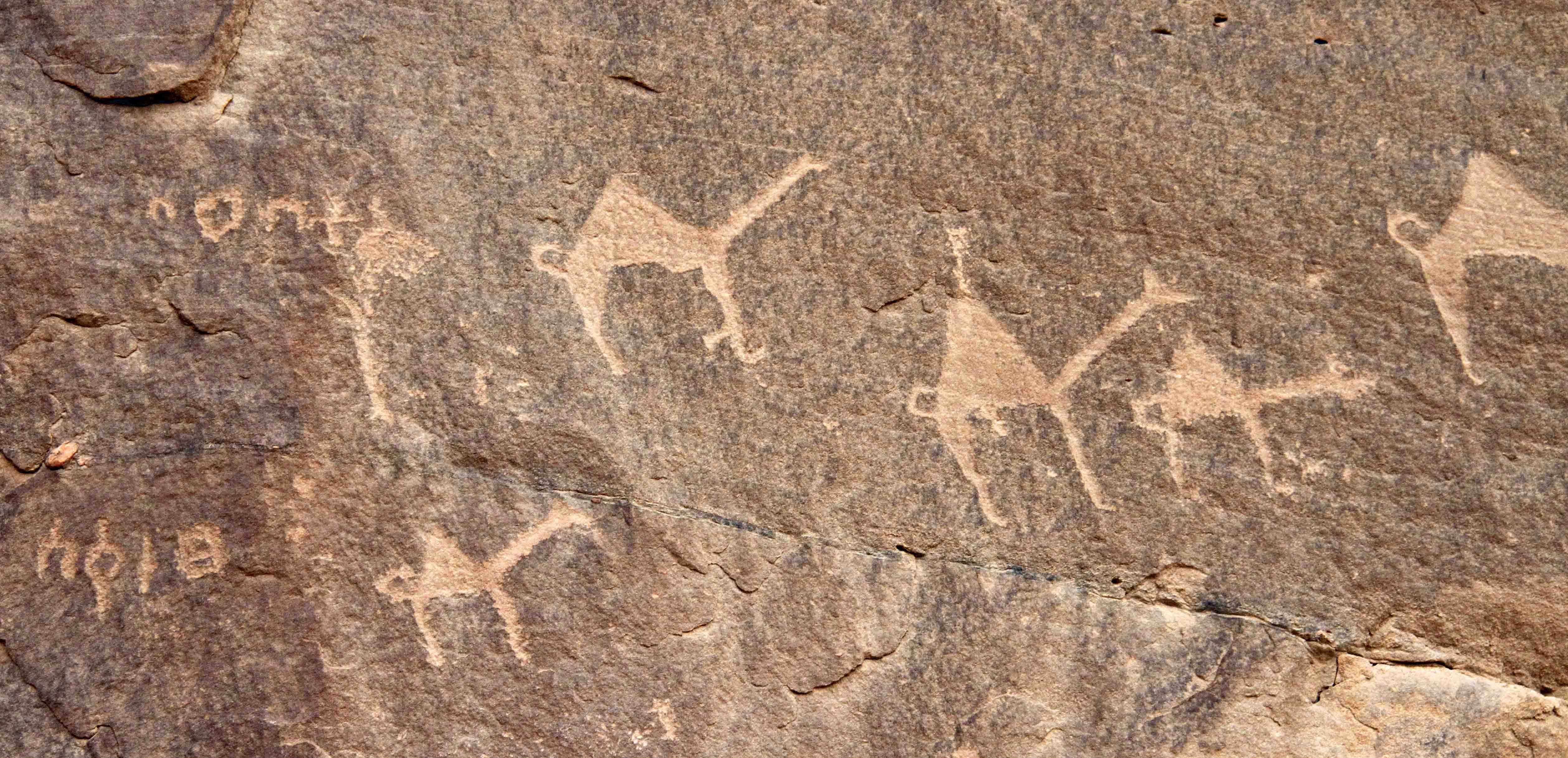 Nabatean petroglyphs carved two thousand years ago into the desert rock
