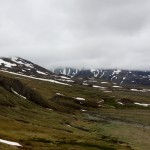 Denali National Park_0025